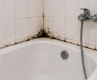 Salle de bain avec moisissures sur les joints et le carrelage