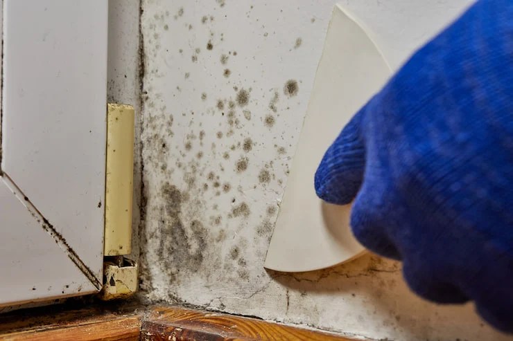 Traitement de l'humidité par ISO PLUS